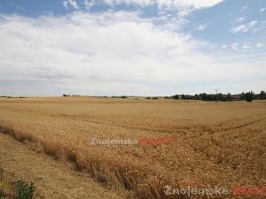 Prodej zemědělské půdy, Blanné, 24000 m2