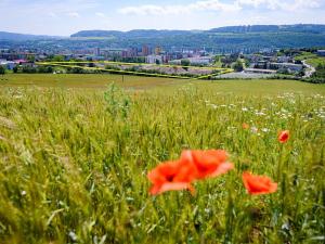 Prodej bytu 3+kk, Beroun, Na Máchovně, 95 m2