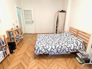 Pronájem bytu 2+kk, Praha - Žižkov, Fibichova, 50 m2