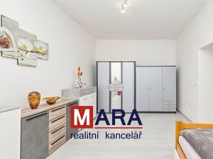 Prodej vícegeneračního domu, Dolany, 250 m2