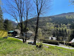 Prodej chaty, Loučná nad Desnou, 118 m2