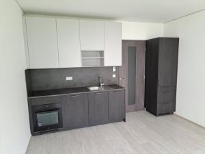 Pronájem bytu 1+kk, Brno, Trnitá, 26 m2