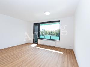 Pronájem bytu 1+kk, Praha - Žižkov, Olgy Havlové, 34 m2