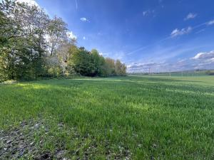 Prodej zemědělské půdy, Vavřinec, 6242 m2