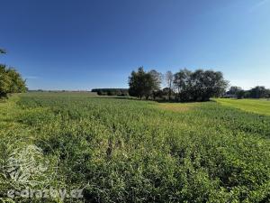 Prodej pozemku pro bydlení, Mžany, 906 m2