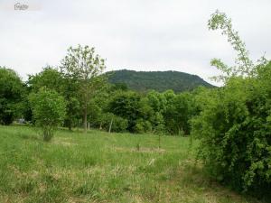 Prodej pozemku, Třebušín - Dolní Týnec, 2373 m2