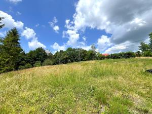 Prodej pozemku pro bydlení, Vyšní Lhoty, 1878 m2