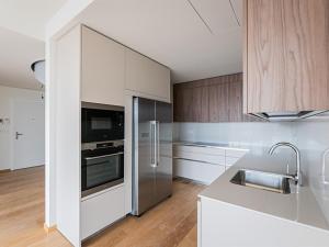 Pronájem bytu 5+kk, Praha - Smíchov, Holečkova, 211 m2