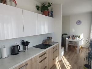 Pronájem bytu 3+kk, Hradec Králové, Fučíkova, 68 m2