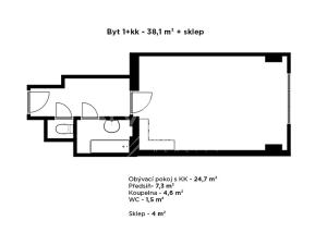 Prodej bytu 1+kk, Praha - Vršovice, Slovinská, 40 m2