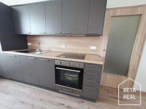 Pronájem bytu 2+kk, Brno, Plotní, 57 m2