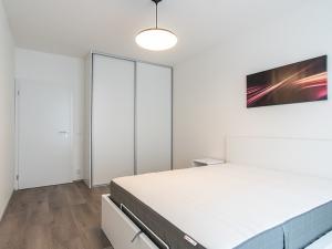 Pronájem bytu 2+kk, Praha - Karlín, Nekvasilova, 60 m2