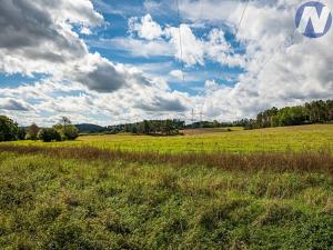 Prodej louky, Nečín, 150270 m2