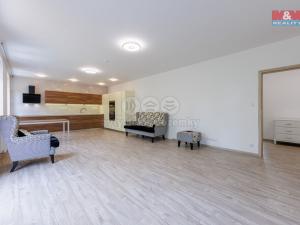 Prodej bytu 3+kk, Cheb, Břehnická, 90 m2