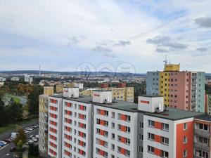 Pronájem bytu 1+kk, Plzeň - Severní Předměstí, Brněnská, 31 m2