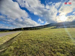 Prodej pozemku pro bydlení, Králíky - Dolní Boříkovice, 46410 m2