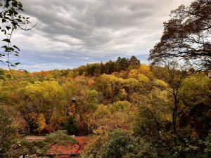 Prodej rodinného domu, Roztoky, V Chatách, 70 m2