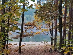 Prodej chaty, Líšťany - Lipno, 65 m2