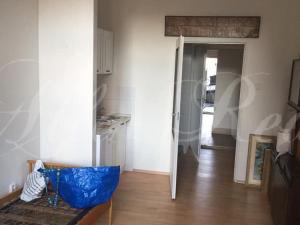 Pronájem bytu 1+kk, Nové Hrady - Veveří, 20 m2