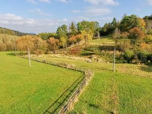 Prodej zemědělské usedlosti, Heřmaničky, 600 m2