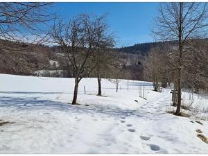 Prodej pozemku pro bydlení, Bartošovice v Orlických horách, 1050 m2