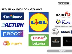 Pronájem obchodního prostoru, Brno, Kaštanová, 700 m2