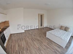 Pronájem bytu 1+kk, Brno, Tuřanské náměstí, 43 m2