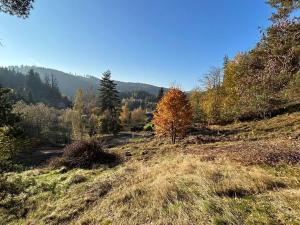 Prodej pozemku pro bydlení, Smolné Pece, 856 m2