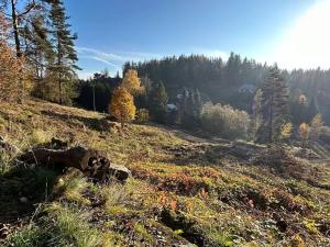 Prodej pozemku pro bydlení, Smolné Pece, 856 m2