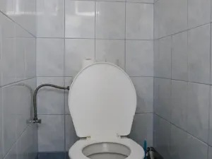 Prodej rodinného domu, Třebechovice pod Orebem, 100 m2