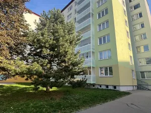 Prodej bytu 1+kk, Brno, Strnadova, 33 m2