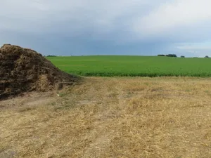 Dražba chaty, Žandov, 300 m2