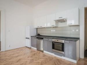 Pronájem bytu 2+kk, Praha - Vinohrady, Mánesova, 69 m2