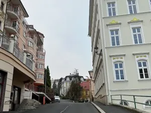 Prodej bytu 2+kk, Karlovy Vary, Zámecký vrch, 41 m2