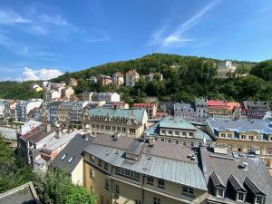 Prodej atypického bytu, Karlovy Vary, Zámecký vrch, 90 m2