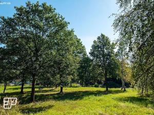 Pronájem komerčního pozemku, Jeníkov, 13072 m2