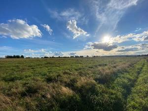 Prodej komerčního pozemku, Kolová, 25553 m2