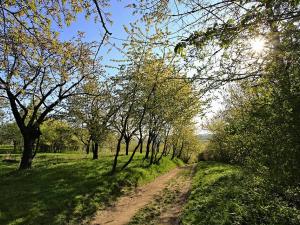 Prodej rodinného domu, Roztoky, V Chatách, 70 m2