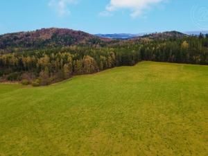 Prodej pole, Budětice, 104753 m2