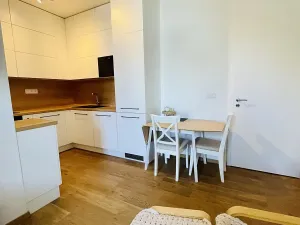 Pronájem bytu 2+kk, Brno, Stavební, 41 m2