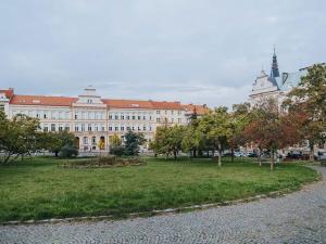 Pronájem bytu 1+kk, Praha - Nusle, Petra Rezka, 24 m2