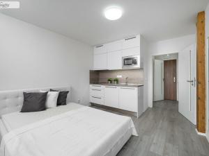 Pronájem bytu 1+kk, Brno - Královo Pole, Slovinská, 22 m2