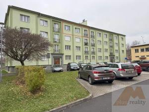 Prodej bytu 2+1, Ostrov, Mánesova, 67 m2