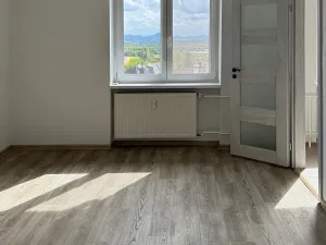 Pronájem bytu 2+1, Litvínov, Podkrušnohorská, 62 m2