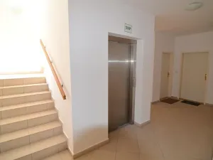 Pronájem bytu 2+kk, Praha - Dejvice, Máslova, 95 m2