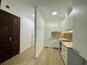 Prodej bytu 2+1, Teplice, U Hadích lázní, 60 m2