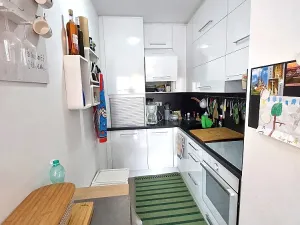 Pronájem bytu 1+kk, Brno, Dusíkova, 47 m2