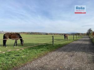 Prodej pozemku pro bydlení, Paceřice, 1000 m2