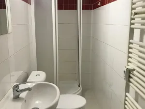 Pronájem bytu 1+kk, Poděbrady, Hakenova, 40 m2