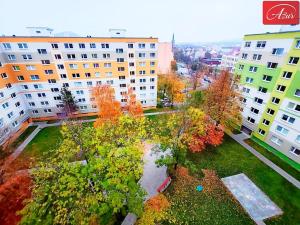 Prodej bytu 2+kk, Teplice, Scheinerova, 40 m2